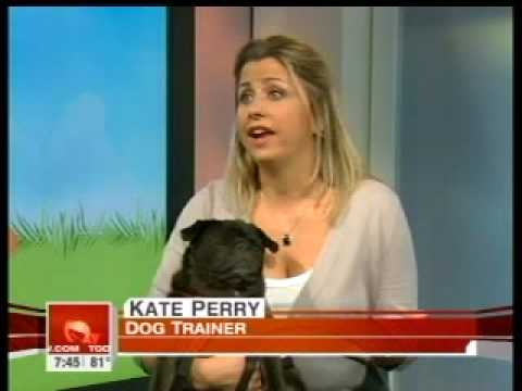 nyc dog trainer Kate Perry  Today Show