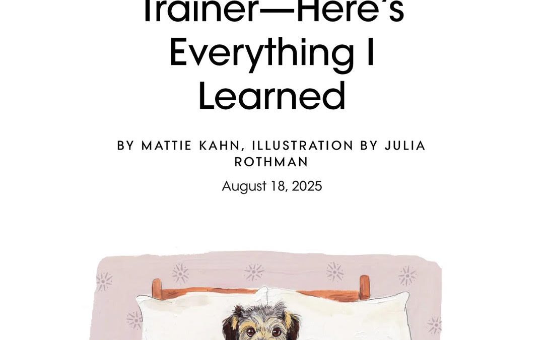 I Hired a Top Celebrity Dog Trainer – Here’s Everything I Learned